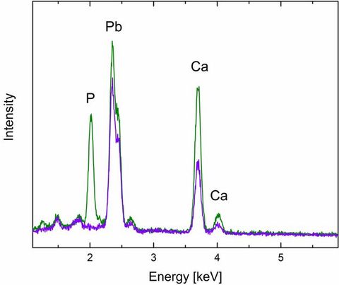 Line graph. The y-axis is labelled “Intensity”. The x-axis is labelled “Energy [keV]” and ranges from 1 to 6 in increments of .5, though only 2, 3, 4, and 5 are marked. A green line spikes over 2, 2.5, and 3.75. The three spikes are labelled “P”, “Pb”, and “Ca”. A purple line mostly follows the green though it only spikes at 2.5 and 3.75. A fourth, lower spike marked by both lines over 4 is labelled “Ca”.